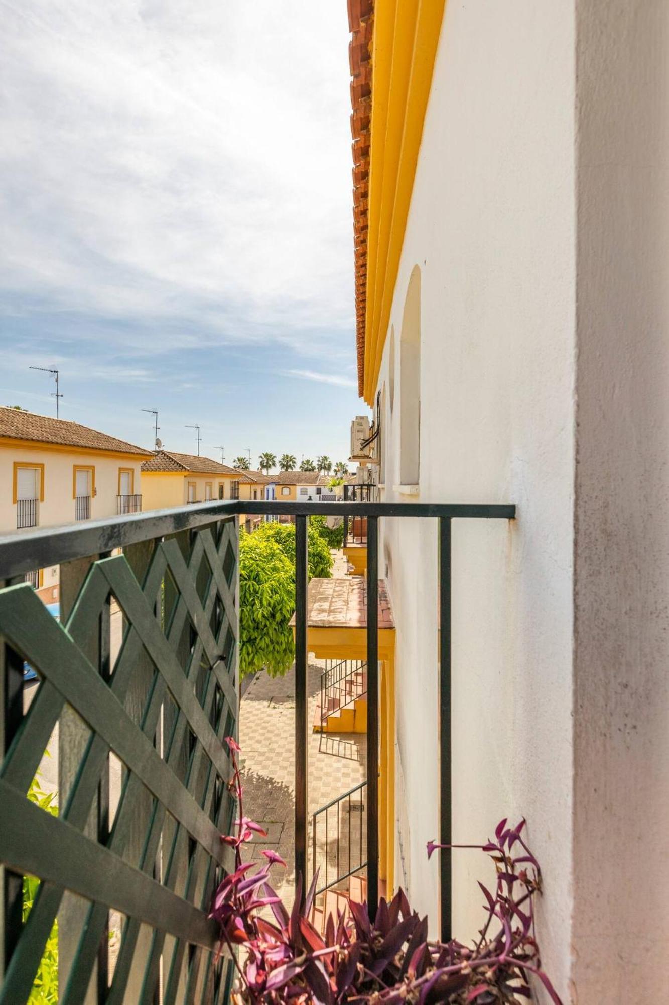 Sevillabienestar Homestay *